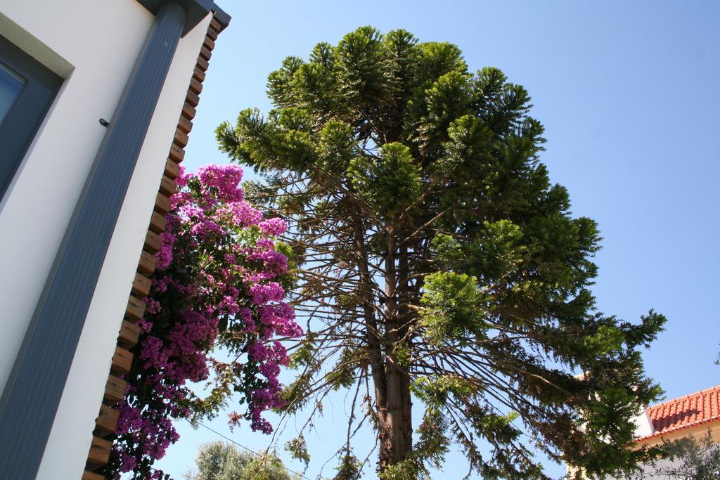 Vilaportuguesa Vila Velha de Rodao Exterior photo
